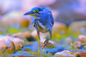 竞彩足球波胆预测,精准预测的秘密与策略竞彩足球波胆专家预测