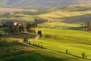 足球波胆是怎么个玩法足球波胆是怎么个玩法